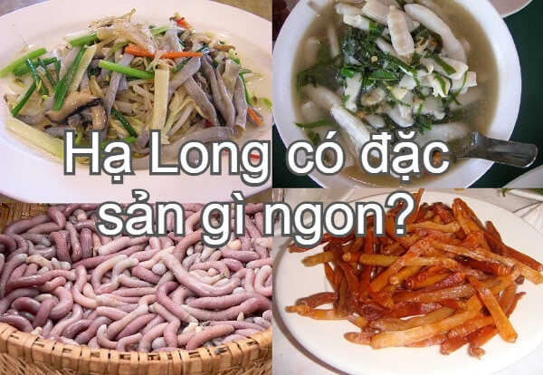 Sá sùng Hạ Long