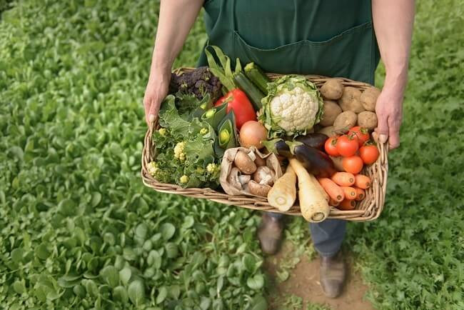 Ăn chay góp phần bảo vệ môi trường