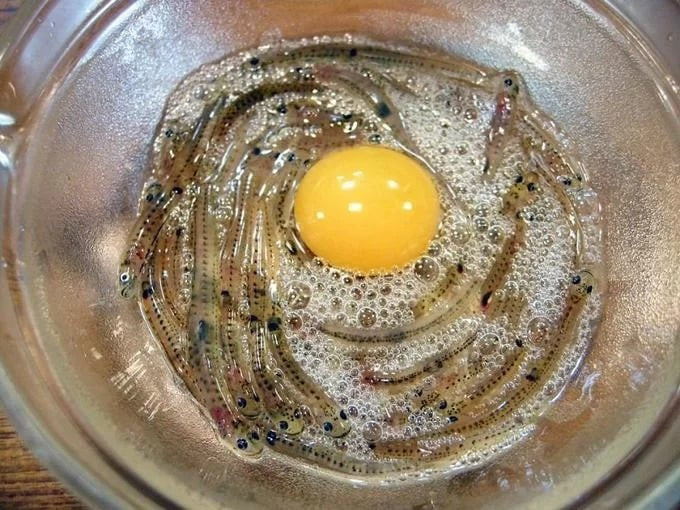 Cá nhảy múa (Shirouo no Odorigui)