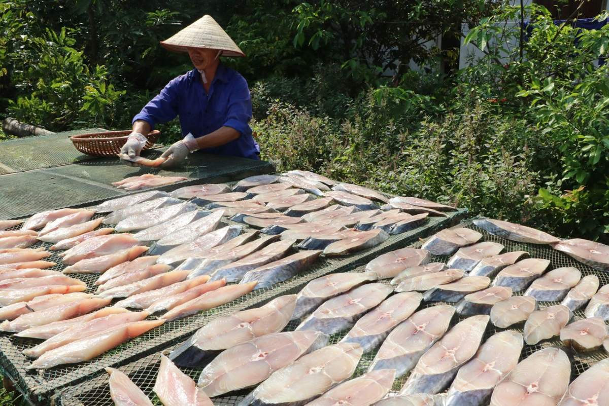 Cá thu một nắng