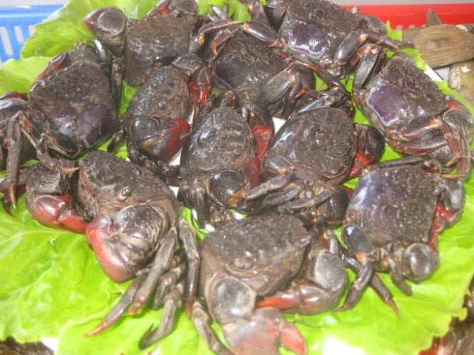 Độc lạ với món ăn từ chù ụ của người miền Tây