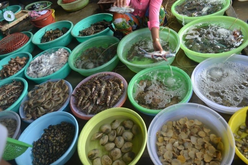 Hải sản Ninh Thuận tươi ngon
