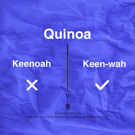 Hạt Quinoa