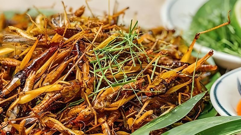 Đặc sản Yên Bái nổi tiếng với con vật trổ đầy ngoài đồng