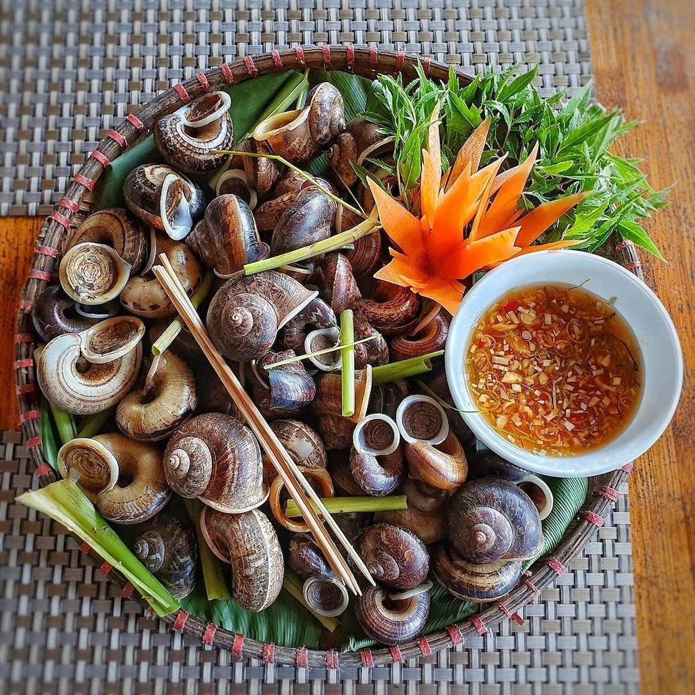 Ốc núi Ninh Bình