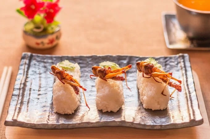 Sushi côn trùng