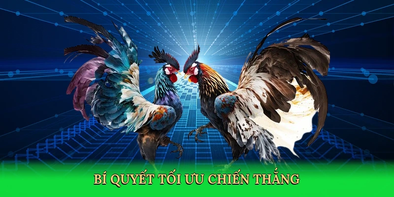Bí quyết tối ưu chiến thắng